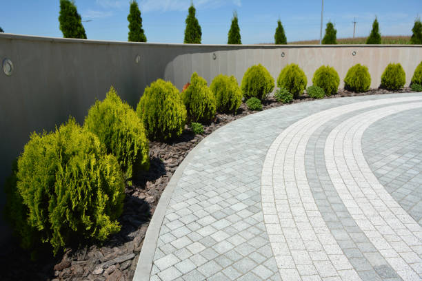 Best Local Driveway Pavers  in Sage, CA